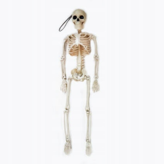 HALLOWEENSKÝ KOSTR ZÁVISNÝ DEKORÁCIA 40 CM